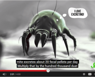 Sleeping With Bugs: 3 Horrific Truths About Dust Mites