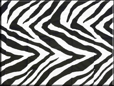 Convert A Fit Sheets™ 200 Thread Count – Fits Standard Beds & Waterbeds – Zebra, Twin