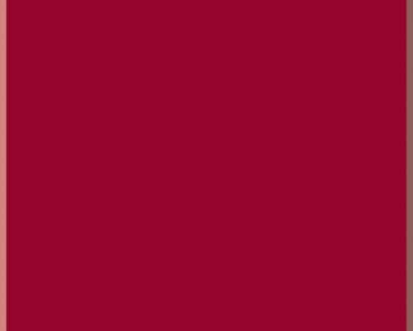 Convert A Fit Sheets™ 200 Thread Count – Fits Standard Beds & Waterbeds – Burgundy, Twin