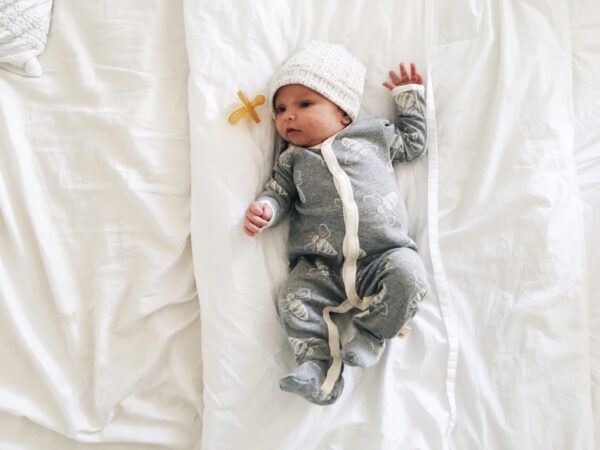 Don’t Let The Bed Bugs Bite: Know How To Identify And Control A Bed Bug Infestation