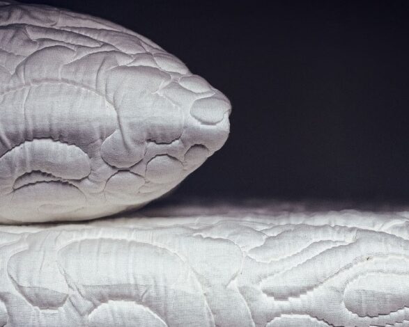 Posh And Lavish Natural Latex Rubber Pillow