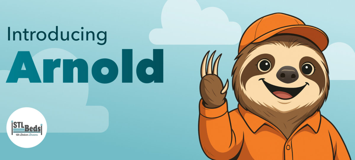 Meet Arnold the sloth and STL Beds' sleep expert